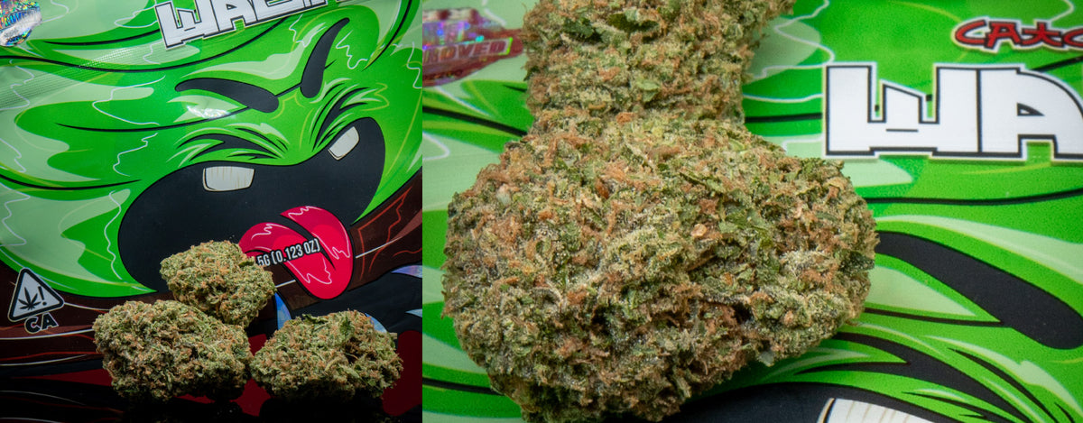 deryan 4p pop up tent for 4 Person - Waterproof up to 2000 mm with Sealed Seams and Extra Thick Ground Mat - Set up and Folded in 2 Seconds Markise mit Handkurbel nach fw22 Colors:Gray Shell Gray Tent Fabric