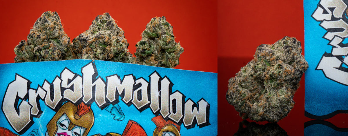 12 Alarm Fire: Crushmallow Z | Weed Review - OG NATION